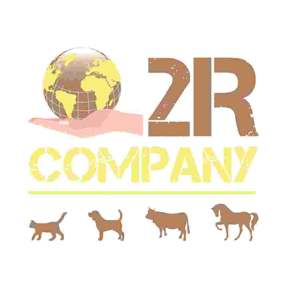 2RCOMPANY.jpg