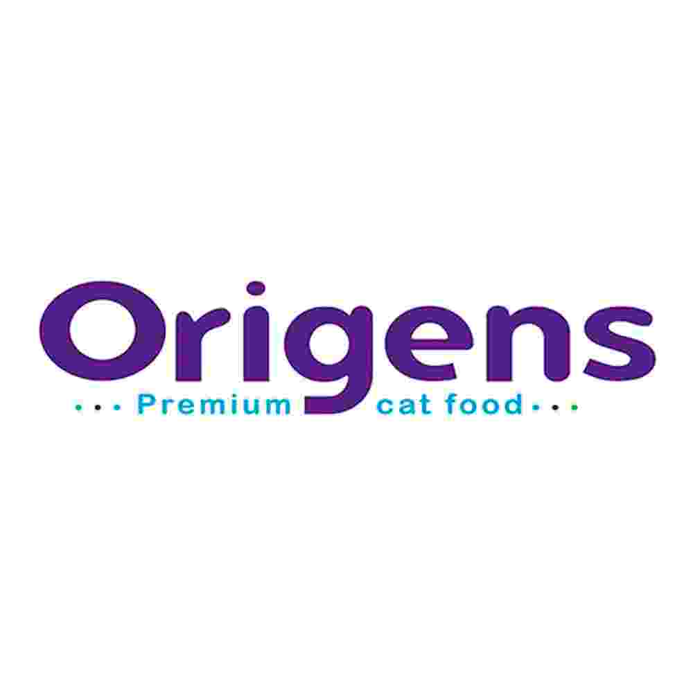 ORIGENS.jpg